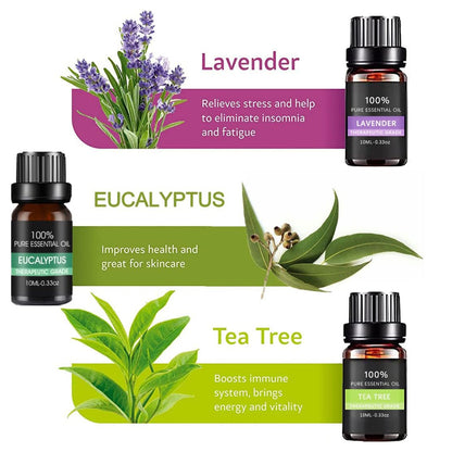 Setuply Luxury™ Wellness Aromatherapy Package – Luxury Spa Hospitality Bundle